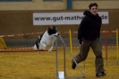 Agility-Turnier am 07./08.11.2009 