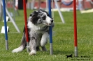 Agility-Turnier am 26./27.06.2010 _10