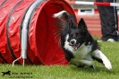 Agility-Turnier am 26./27.06.2010 _11