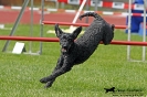 Agility-Turnier am 26./27.06.2010 _13