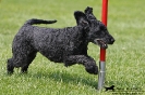 Agility-Turnier am 26./27.06.2010 _14