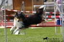 Agility-Turnier am 26./27.06.2010 _16