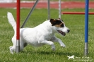 Agility-Turnier am 26./27.06.2010 _18