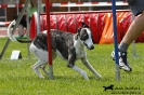 Agility-Turnier am 26./27.06.2010 _19