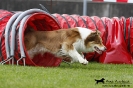 Agility-Turnier am 26./27.06.2010 _20