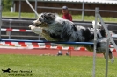 Agility-Turnier am 26./27.06.2010 