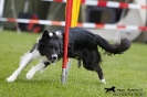 Agility-Turnier am 26./27.06.2010 _22