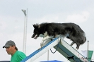 Agility-Turnier am 26./27.06.2010 _23