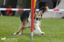 Agility-Turnier am 26./27.06.2010 _24