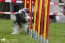 Agility-Turnier am 26./27.06.2010 _25