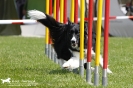 Agility-Turnier am 26./27.06.2010 _26