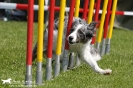 Agility-Turnier am 26./27.06.2010 _27