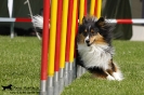 Agility-Turnier am 26./27.06.2010 _30