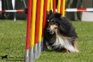 Agility-Turnier am 26./27.06.2010 