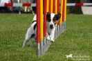 Agility-Turnier am 26./27.06.2010 _34