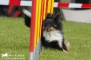 Agility-Turnier am 26./27.06.2010 _36