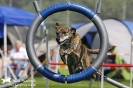 Agility-Turnier am 26./27.06.2010 _41