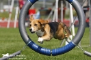 Agility-Turnier am 26./27.06.2010 _42