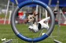 Agility-Turnier am 26./27.06.2010 _43