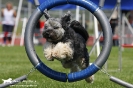 Agility-Turnier am 26./27.06.2010 _44