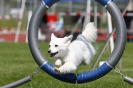 Agility-Turnier am 26./27.06.2010 _45