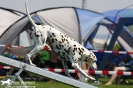 Agility-Turnier am 26./27.06.2010 _46