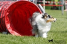 Agility-Turnier am 26./27.06.2010 _48