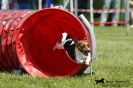 Agility-Turnier am 26./27.06.2010 _49