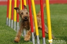 Agility-Turnier am 26./27.06.2010 _5