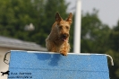 Agility-Turnier am 26./27.06.2010 _7