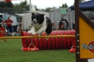  Agilityturnier am 01.07.2006 _101