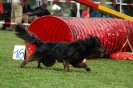  Agilityturnier am 01.07.2006 _104