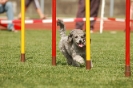  Agilityturnier am 01.07.2006 _123