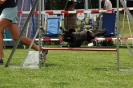  Agilityturnier am 01.07.2006 _130