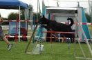  Agilityturnier am 01.07.2006 _134