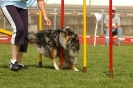  Agilityturnier am 01.07.2006 _202