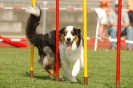  Agilityturnier am 01.07.2006 _203