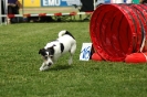 Agilityturnier am 01.07.2006 _205