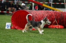  Agilityturnier am 01.07.2006 _206