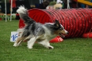  Agilityturnier am 01.07.2006 _233