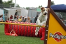  Agilityturnier am 01.07.2006 _238
