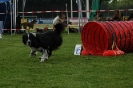  Agilityturnier am 01.07.2006 _239