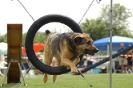  Agilityturnier am 01.07.2006 _240