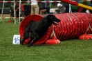  Agilityturnier am 01.07.2006 _242
