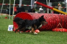  Agilityturnier am 01.07.2006 _244