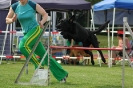  Agilityturnier am 01.07.2006 _247