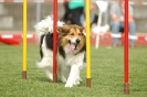  Agilityturnier am 01.07.2006 _282