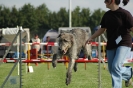  Agilityturnier am 01.07.2006 _284