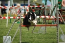  Agilityturnier am 01.07.2006 _313