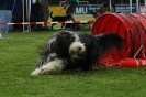  Agilityturnier am 01.07.2006 _379